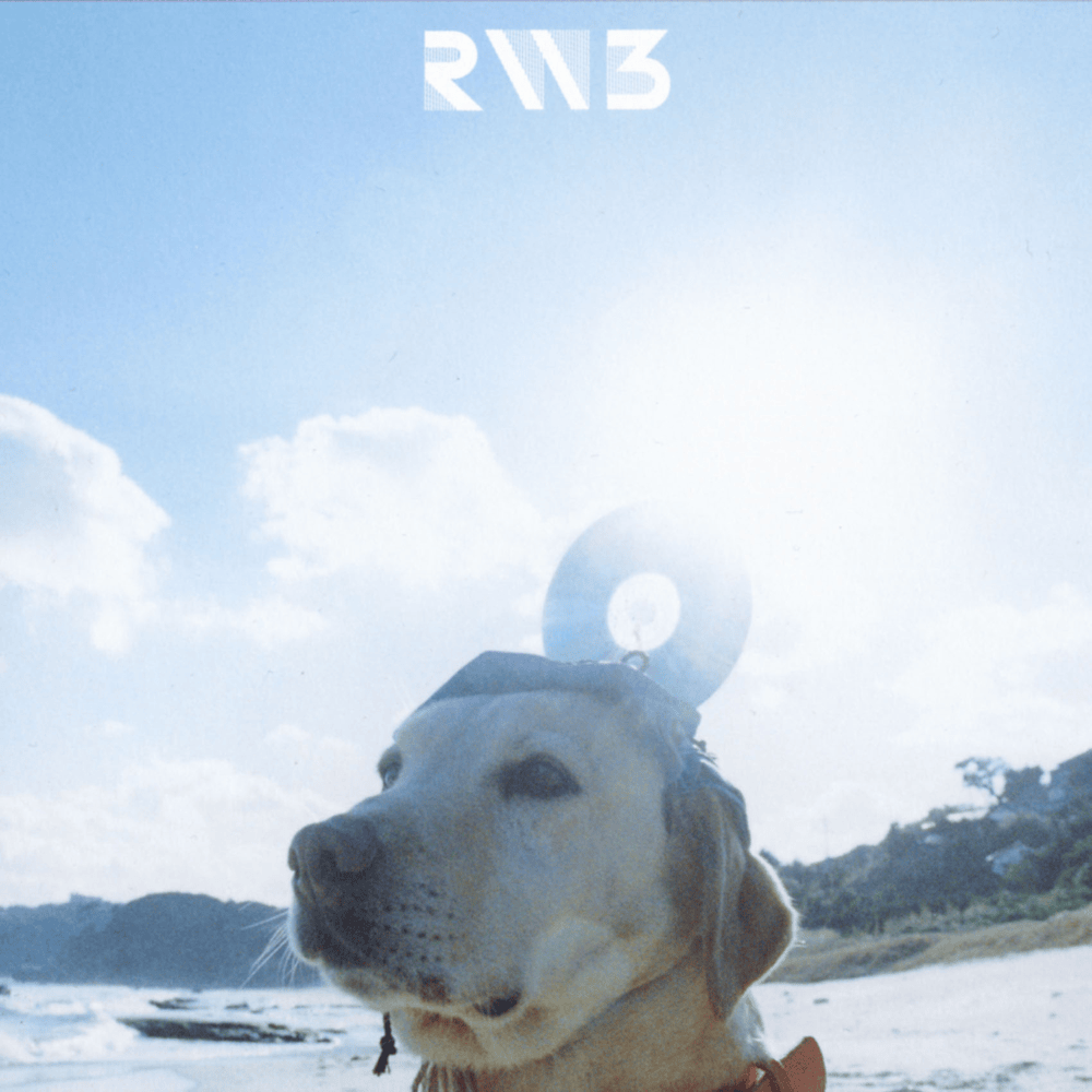 RADWIMPS - RADWIMPS 3 〜無人島に持っていき忘れた一枚〜 Lyrics and