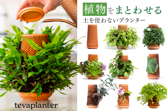 tevaplanter｜植物を纏うプランター インテリアに独創的な彩りを