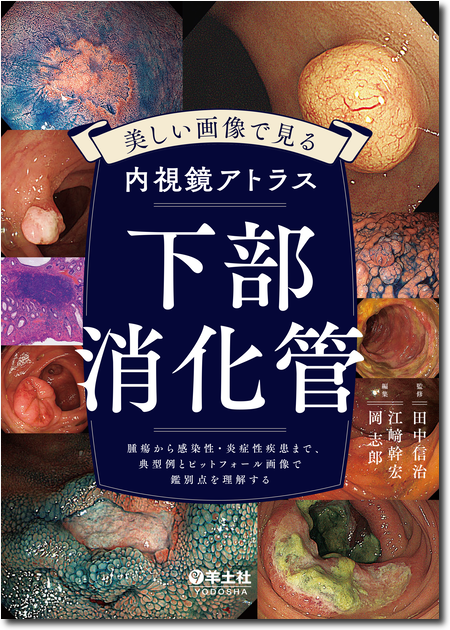 m3電子書籍 | 消化器診療 最新ガイドライン 第5版