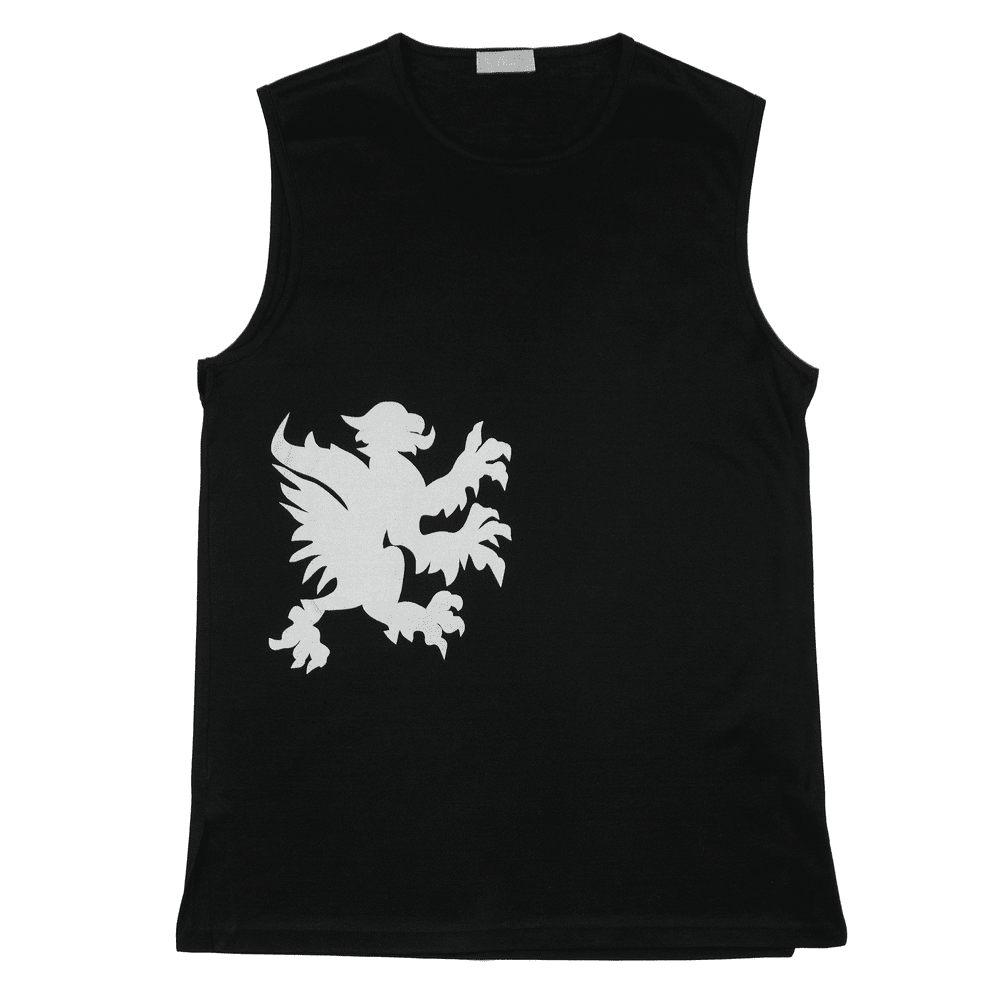 Dior Homme AW02 Griffin Tank Top — scatterbrain archives