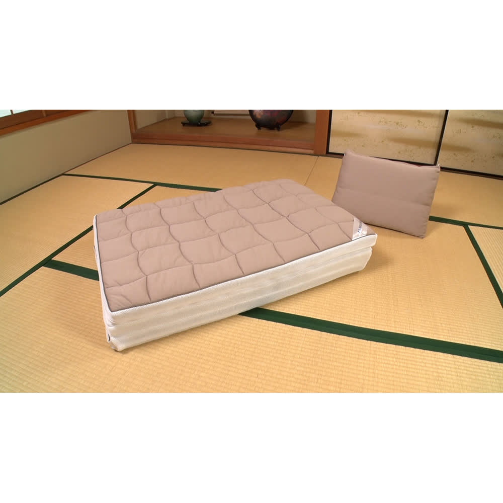 ブレスエアー（R）敷布団 リファイン（厚さ5cm） 枕付き （シングル