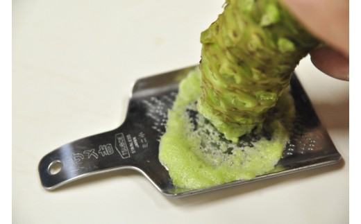 世界農業遺産認定】西伊豆町の本わさび・わさびづけセット（岡原わさび