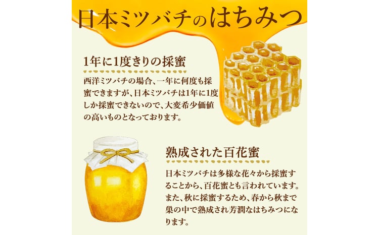 七ツ森の恵 日本ミツバチのはちみつ 600g ハチミツ 蜂蜜 日本蜜蜂 国産