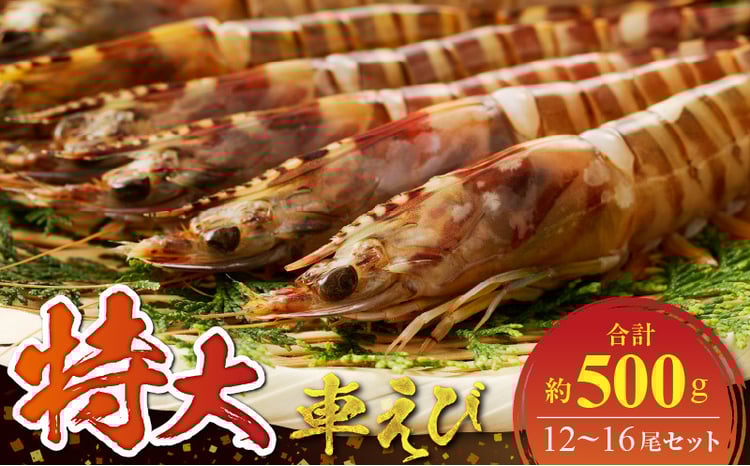 S059-020_特大 車エビ 2パック セット - 熊本県天草市｜ふるさと