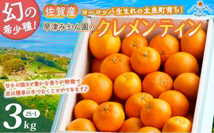 L-29x1 早津みかん園のクレメンティン 3kg 【2026年1月下旬～2月下旬