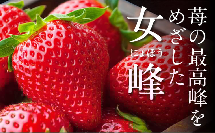 ≪先行予約≫ NATSUMI ICHIGO 女峰 約1.8kg以上（2026年1月～6月配送