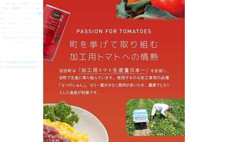 選べる個数／契約農家が露地栽培した完熟トマトケチャップ4個・8個
