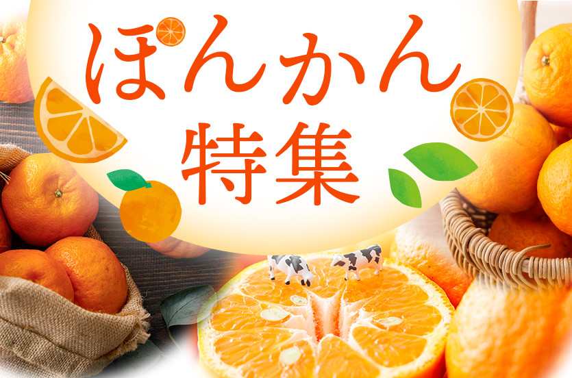 ぽんかん特集 東洋町｜ふるさとチョイス - ふるさと納税サイト