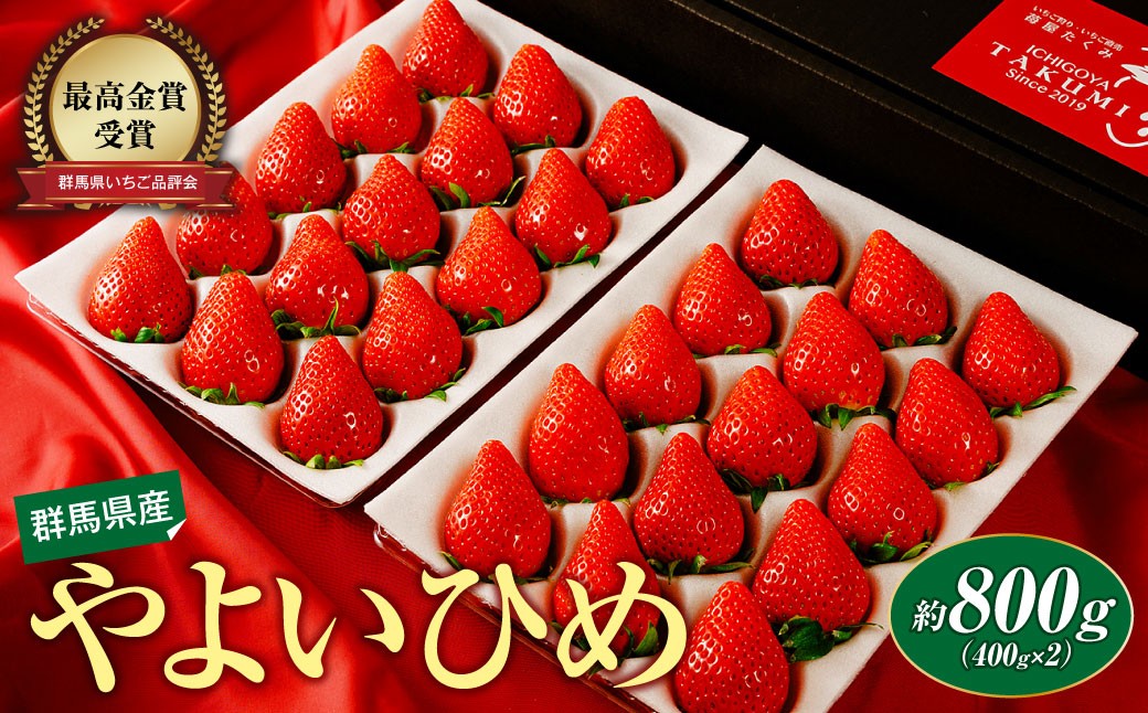 いちご やよいひめ 群馬県いちご品評会最高金賞 選べる内容 2026年