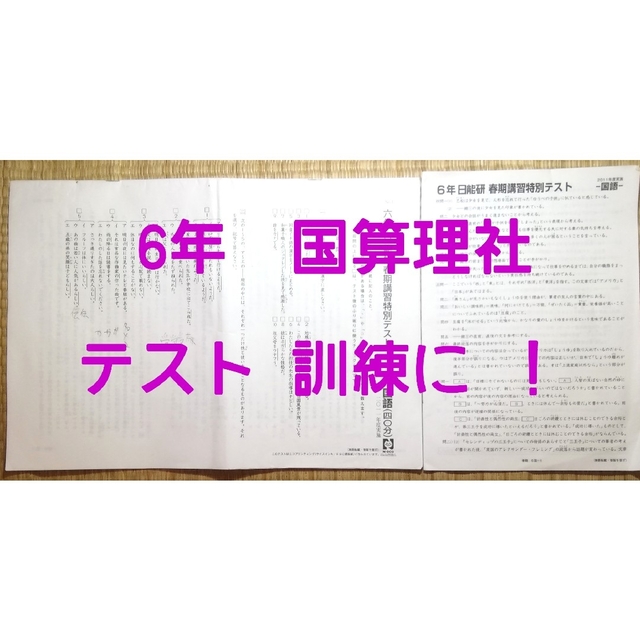日能研 6年生前期 育成テスト 全17回分 最新版】2025年度日能研6年