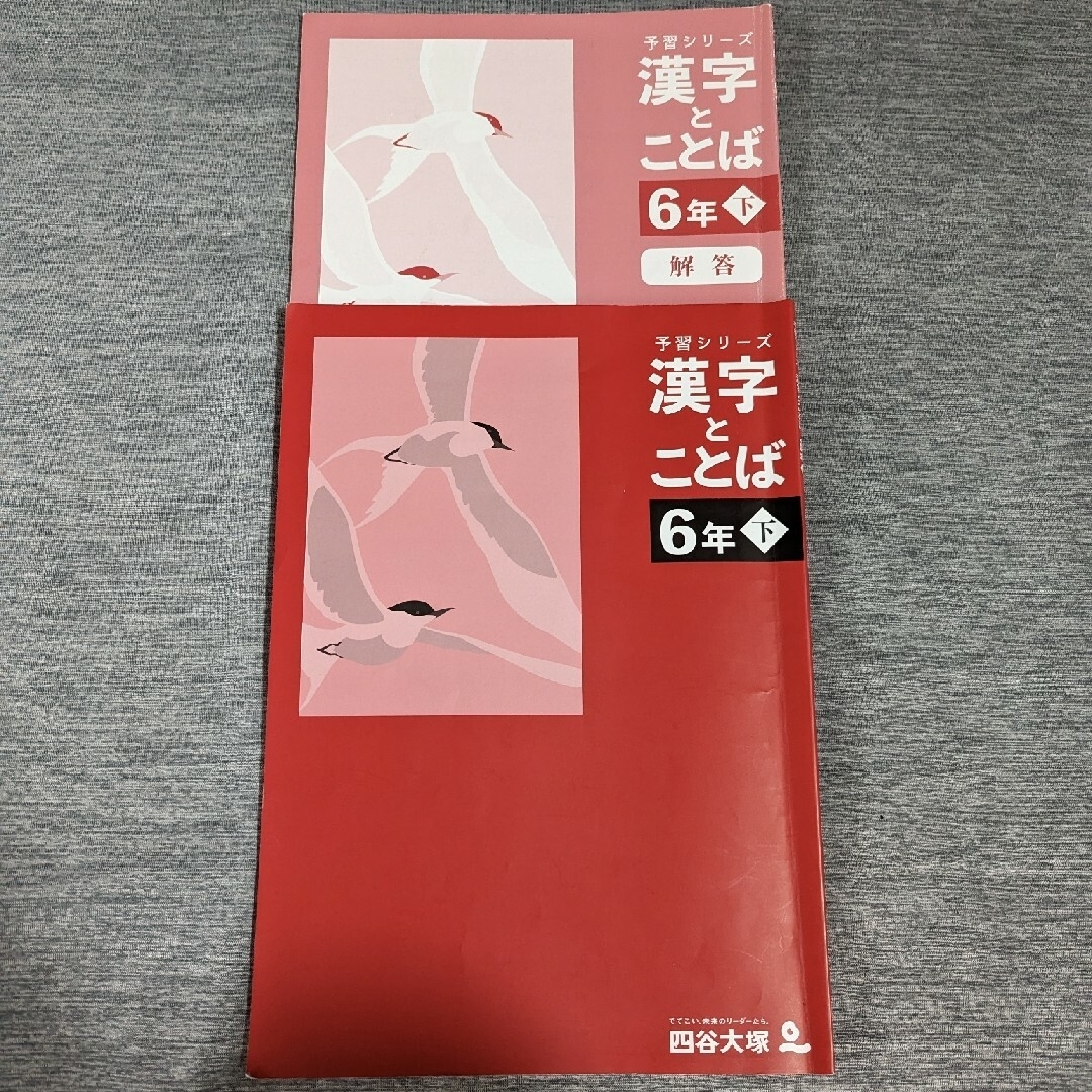 四谷大塚 予習シリーズ 有名校対策 6年下セット 改訂版の通販 by