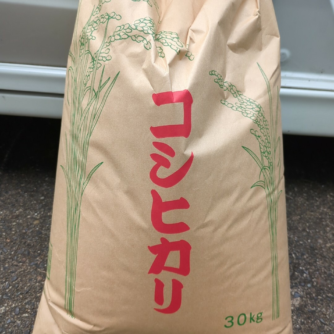 星澤純一 シャッフルオフェンス ディフェンスバイブル DVD セット 2024 3本