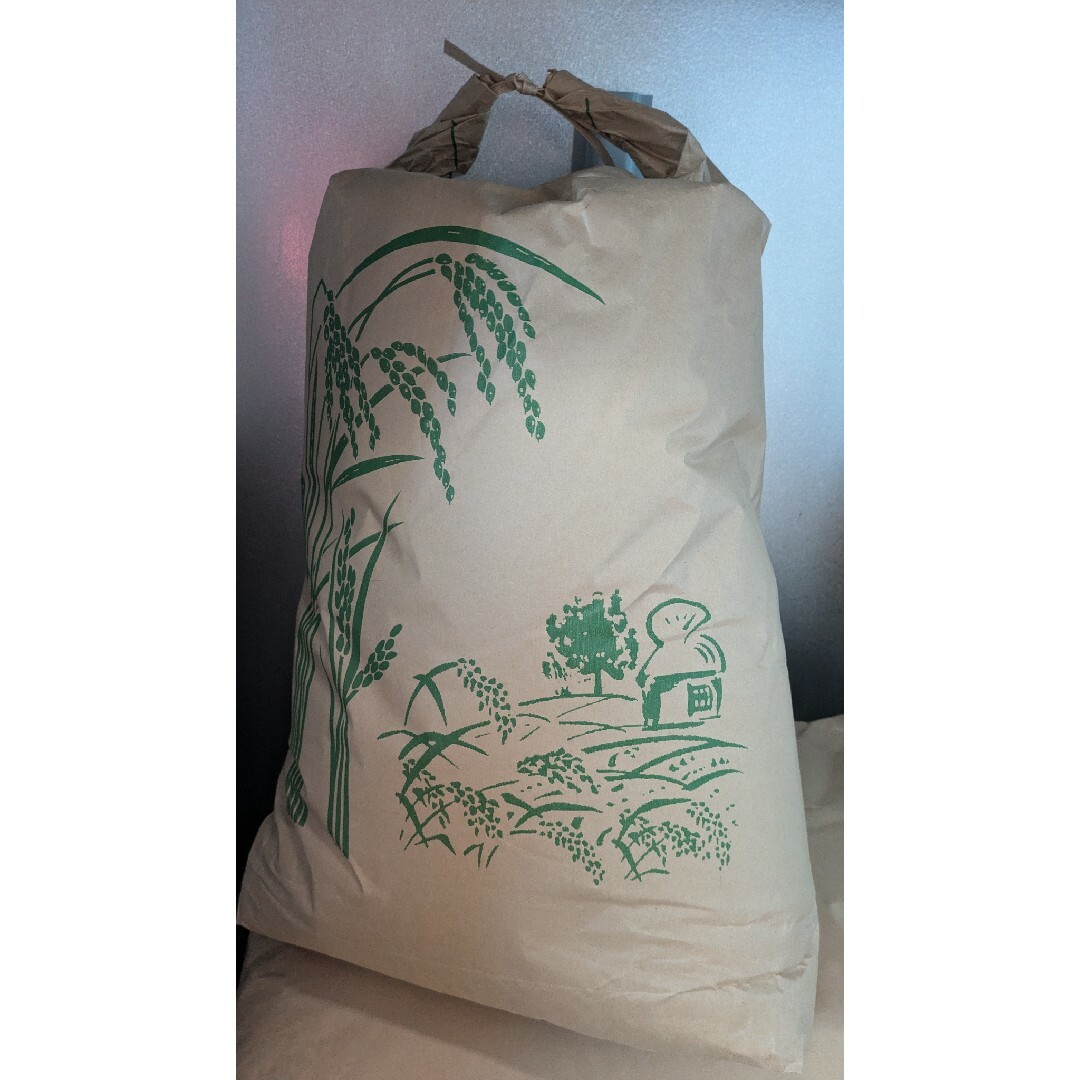 K*i様 砂金 特大 天然物 【アラスカ産】#113鑑定済 0.07g高