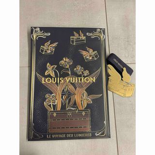 LOUIS VUITTON - ルイヴィトン 保存袋 LOUIS VUITTON バッグ 布袋の