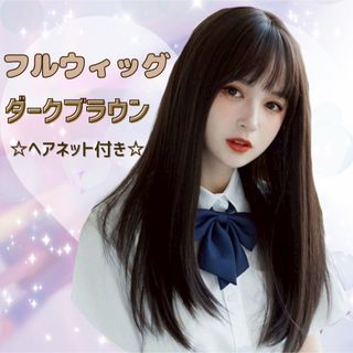 フルウィッグ人毛100%人毛ウィッグ医療ウィッグロングストレート広い