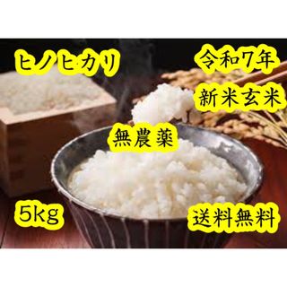 くず米 20kg 砕米・雑穀 鳥の餌 飼料 肥料 青米 の通販 by ☆kome-life