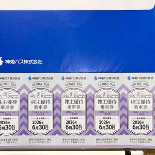 西武ホールディングス株主優待1000株分2冊セット（指定席引換券、乗車
