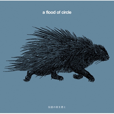 伝説の夜を君と : a flood of circle | HMV&BOOKS online - TECI-1756