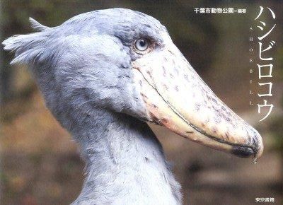 ハシビロコウ 千葉市動物公園(著) - 東京書籍 | 版元ドットコム