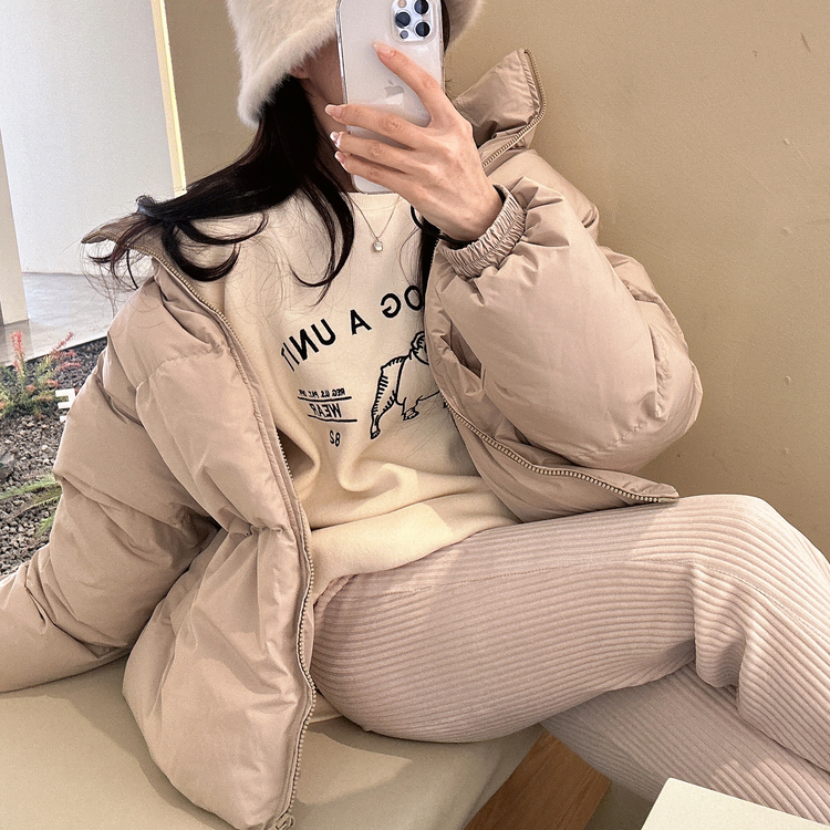 ハイネックショートダウンジャケット9色 (M~L size)｜ダウン｜韓国