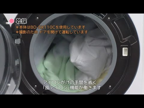ドラム式洗濯乾燥機 ビッグドラム ロゼシャンパン BD-SX110FR-N [洗濯