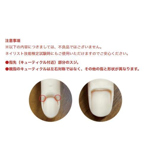 STモデルハンド /両手セット（JNEC 第1期認定モデルハンド