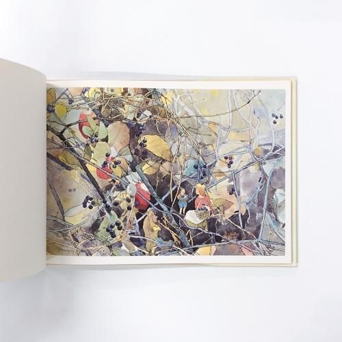 安野光雅 | 画集 | 野の花と小人たち - ノースブックセンター