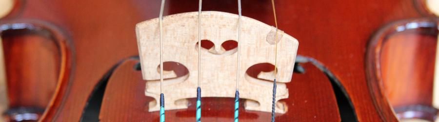 Leon Bernardel バイオリン / レオン・ベルナーデル