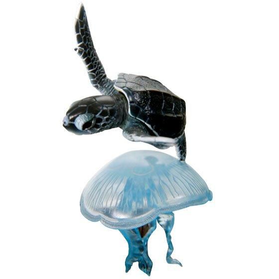 いきもん ネイチャーテクニカラー 日本のカメ 特装版 アオウミガメ（幼体）