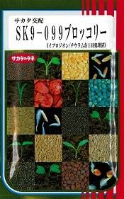 SK9－099（2000粒2026年品切） - オガワのタネ