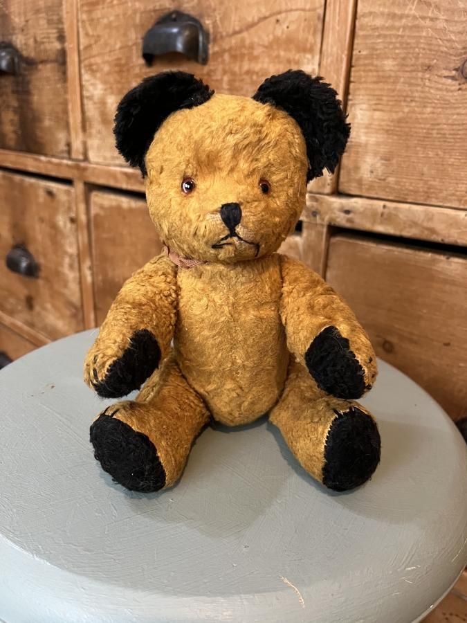 スーティー Sooty - アンティークとテディベアの店 Parade（パラード）