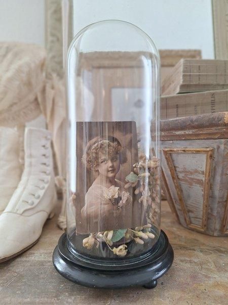 アンティークガラスドーム - アンティークモール＆蚤の市情報サイト