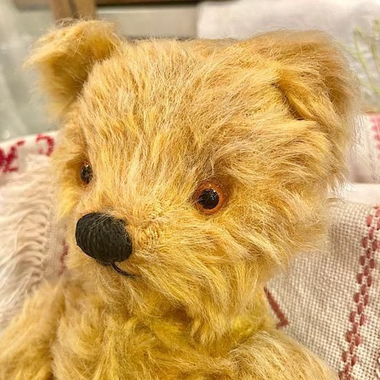 イギリス1950年代 ＊ ”チャド・ヴァレー社 ＊ Chad Valley” テディベア