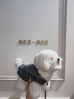 Vaqutauxjapan（ヴァクトージャパン大阪ギャラリー公式サイト）