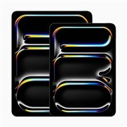 Apple iPad Pro 11インチ Wi-Fi 256GB 2024年春モデル MVV83J/A