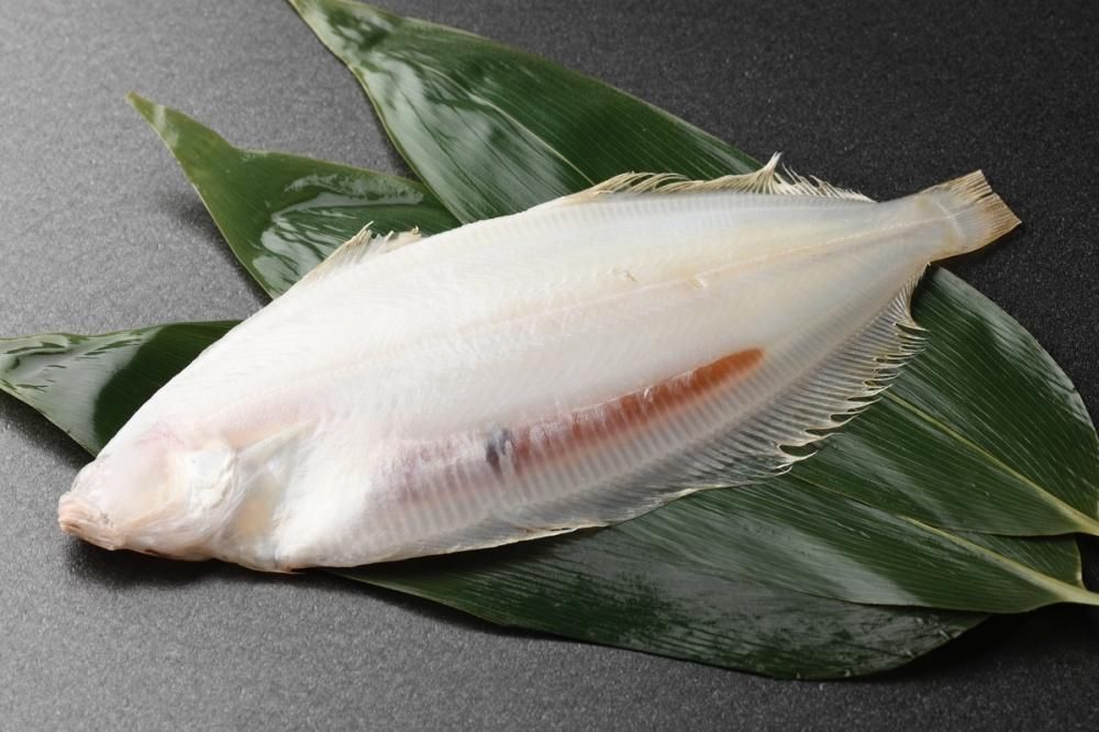 柳カレイ一夜干し（1枚入り） - 新潟本町 鈴木鮮魚