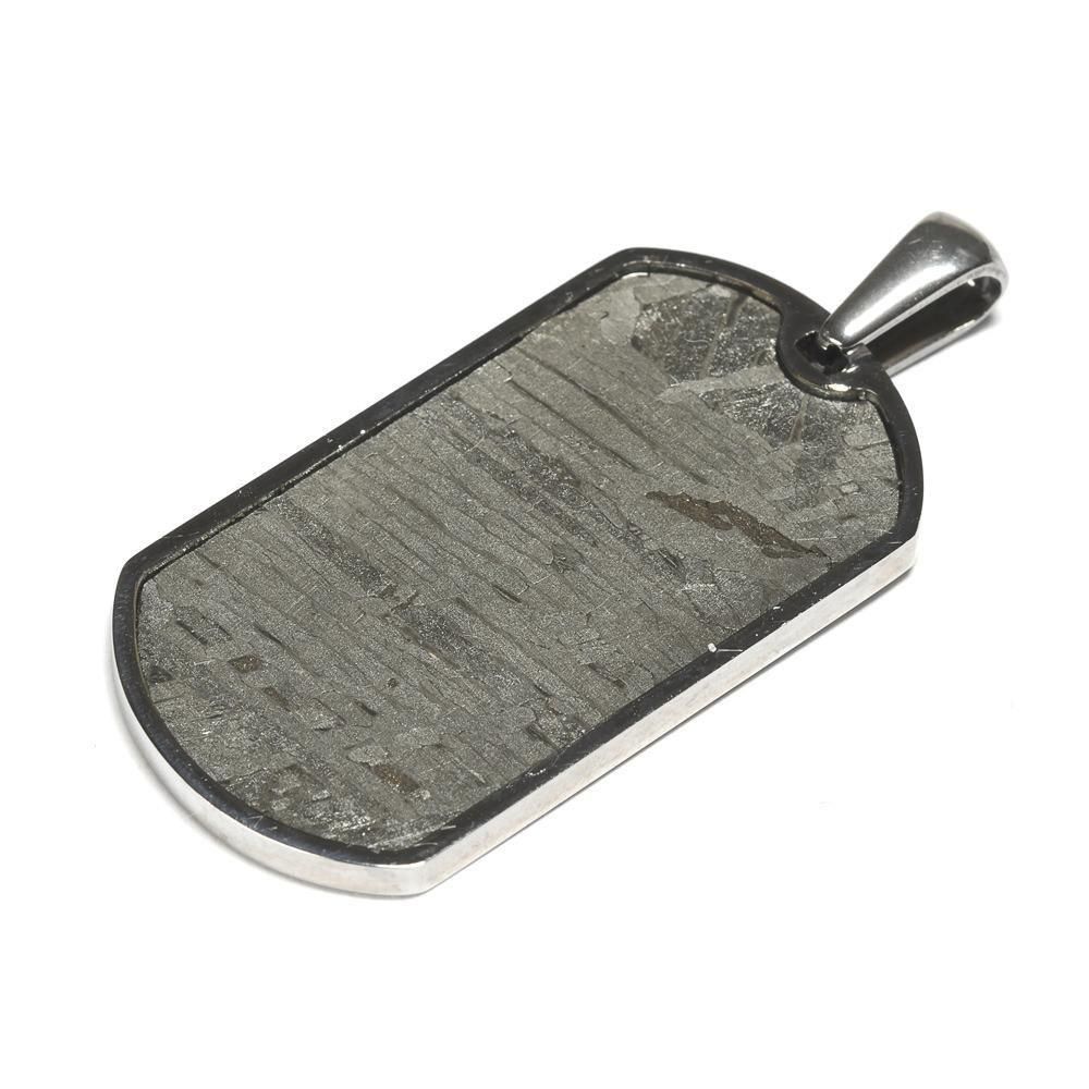 アルタイ隕石 ペンダントトップ 34.4x18.6x2.7mm #QL125 - プレミアム