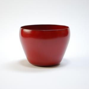 角有伊 - GALLERY掌