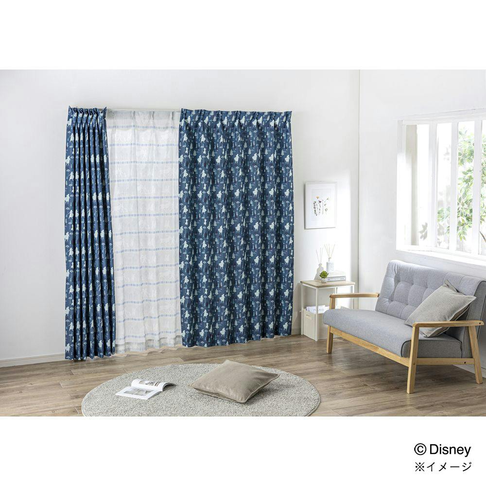 ディズニー カーテン アナ＆エルサ 100×200cm 2枚組 洗濯OK 遮光率