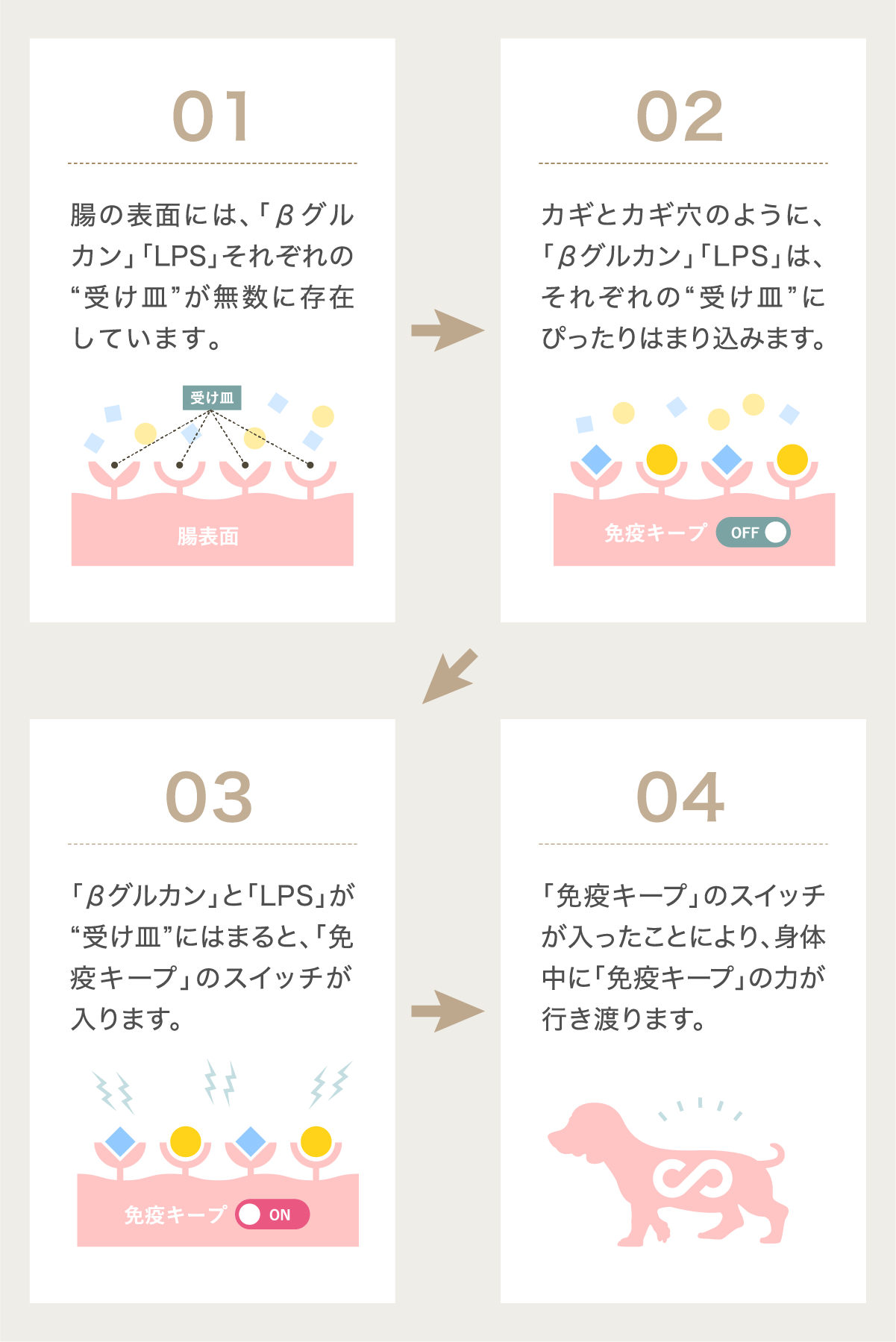 犬心～糖＆脂コントロール～ - 犬心～INUKOKORO～