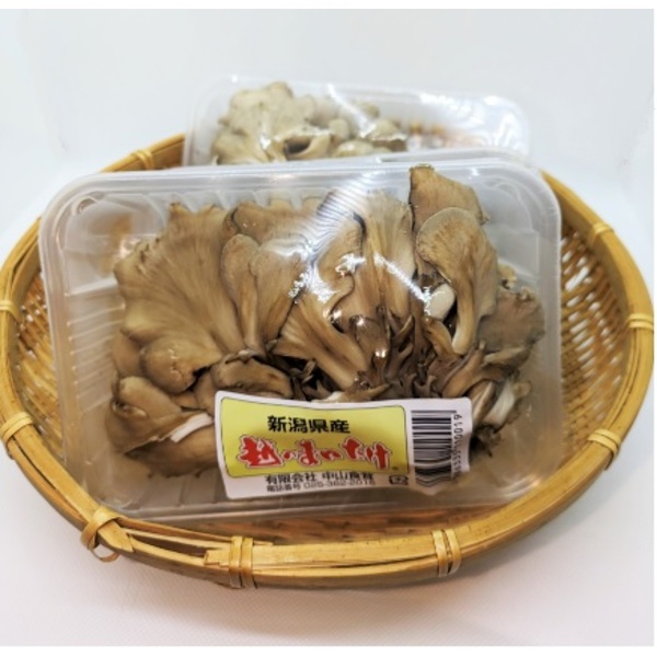 きのこセット | 新潟ごっつぉ産直便 | JA新潟かがやき公式通販サイト