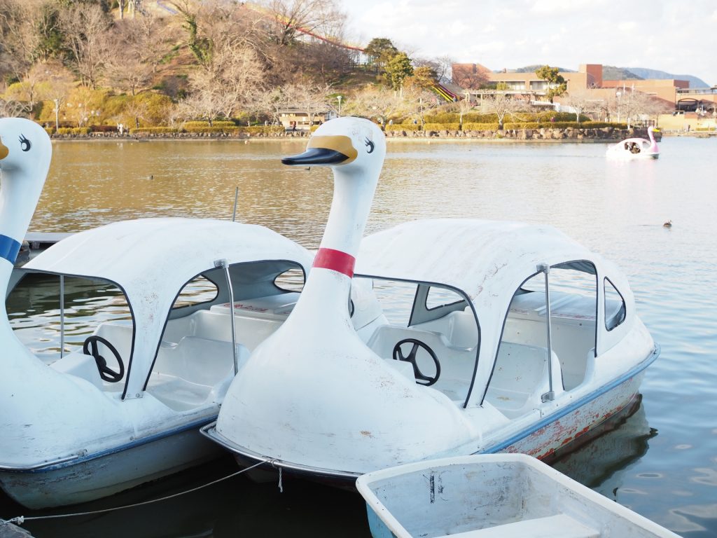 湖にただよう白鳥型の船『スワンボート』 昭和の懐かしボート 令和では