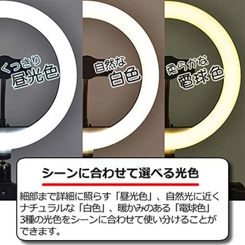 ARCRL-025 ARTRIG リングライトセット 1個 ARTRIG(アートリグ) 【通販