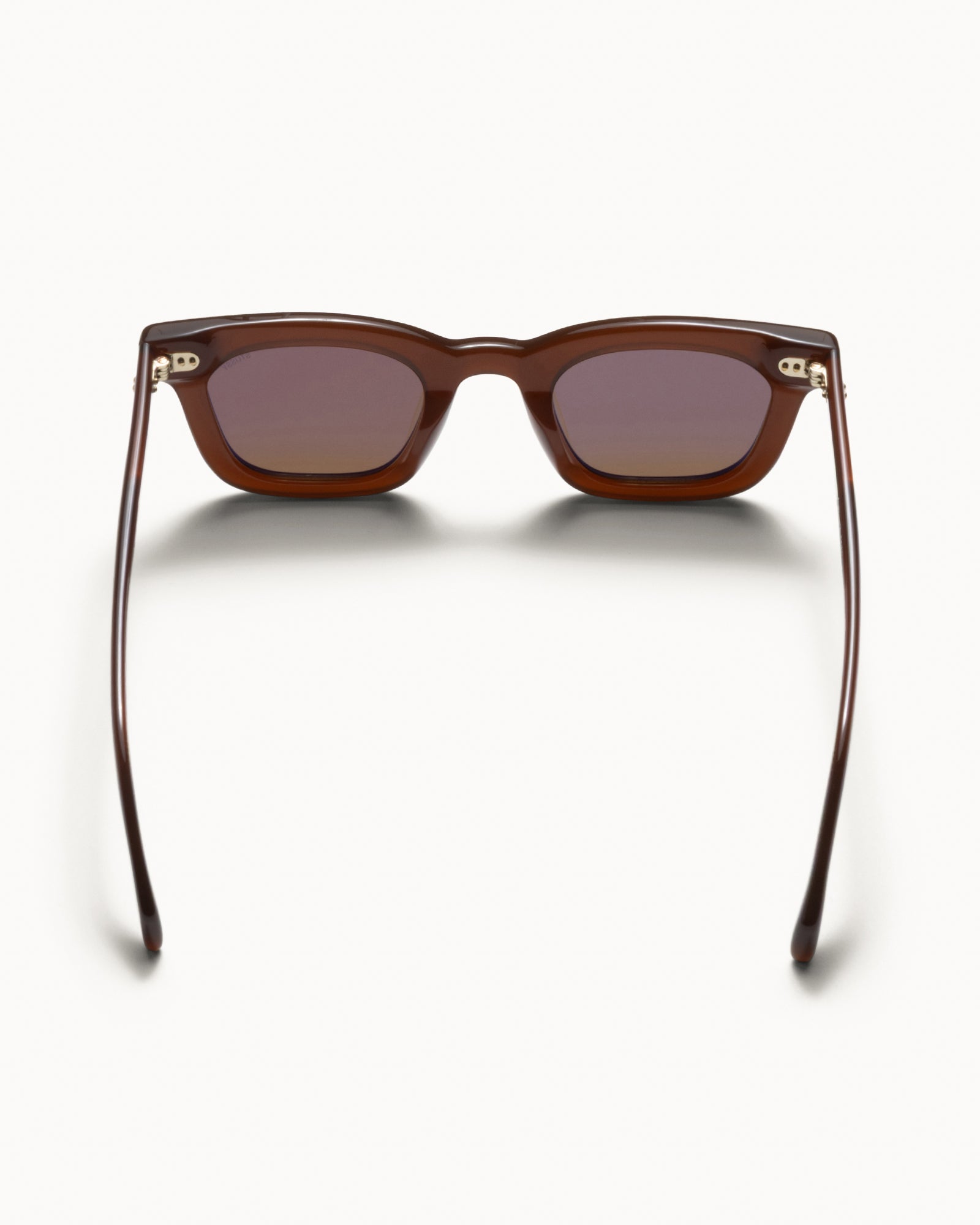 Ace Sunglasses – Dark Brown/Brown Lens | All Accessories | Stüssy