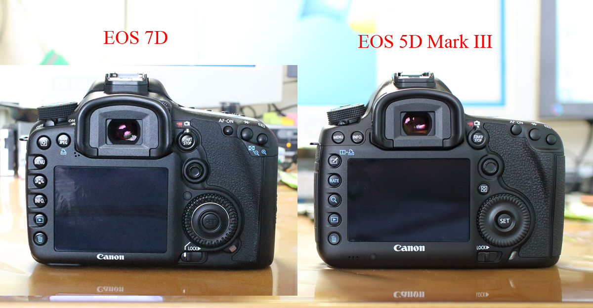 Canon EOS 5D Mark III & 7D Mark II セット 7D MARK Ⅱ vs 70D vs