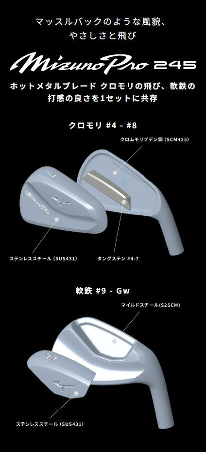 Mizuno Pro 245 アイアン 6本組(No.5～9、PW)(Dynamic Gold 95