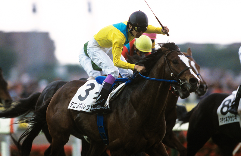 タニノギムレット｜名馬メモリアル｜競馬情報ならJRA-VAN