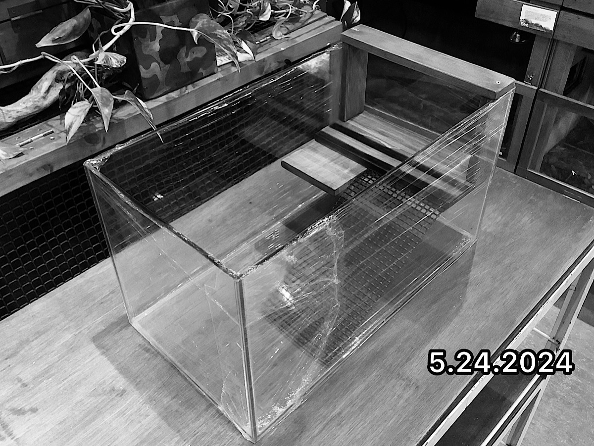 かめぢからベースセット コバルト系45cmオールガラス SOLD OUT – 完全