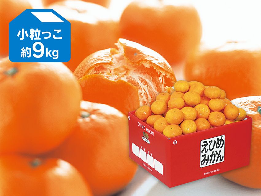 愛媛みかん9kg-小粒っ子 | のま果樹園