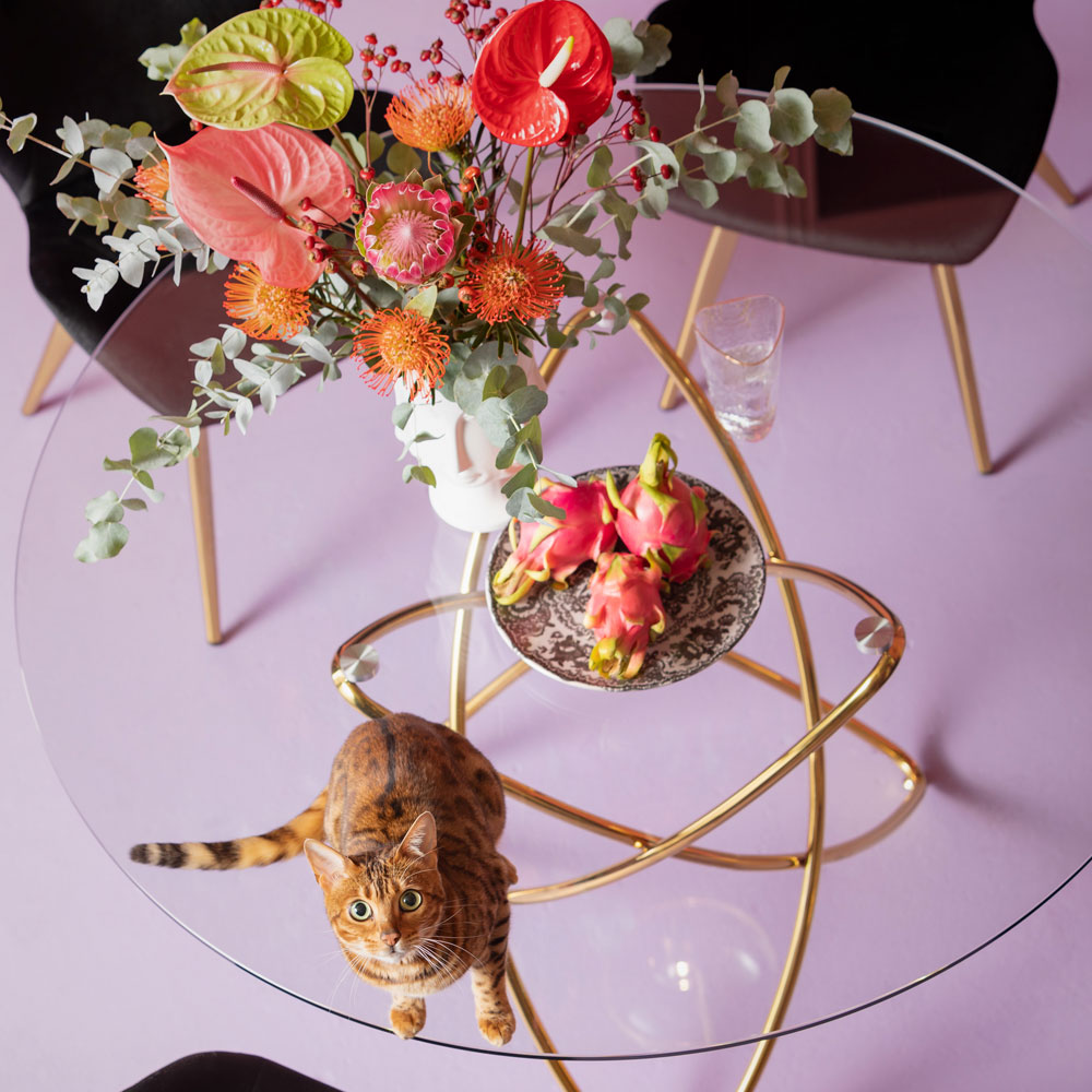 モレキュラーゴールド O120cm ダイニングテーブル - ダイニング